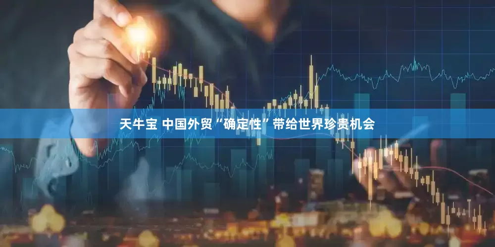 天牛宝 中国外贸“确定性”带给世界珍贵机会