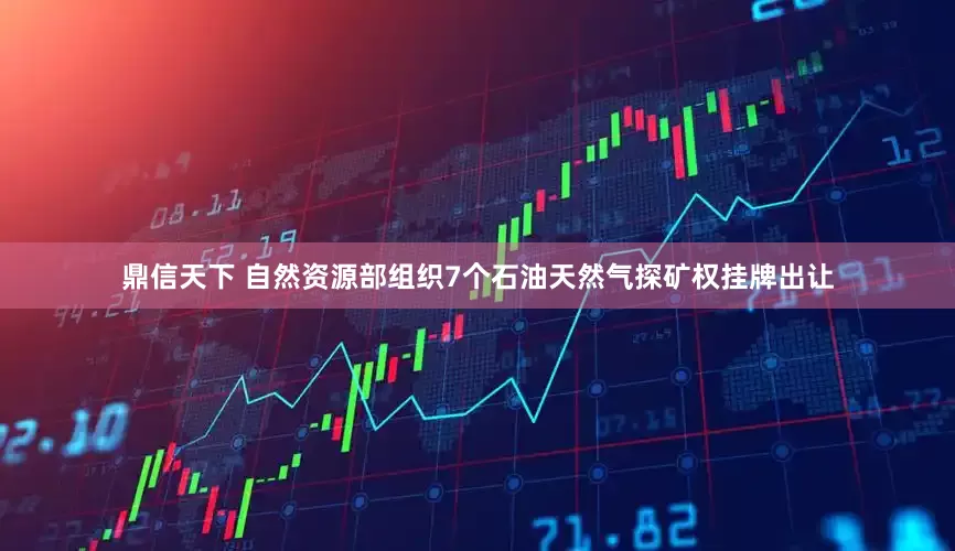 鼎信天下 自然资源部组织7个石油天然气探矿权挂牌出让